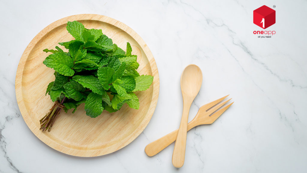 health benefits of mint leaves